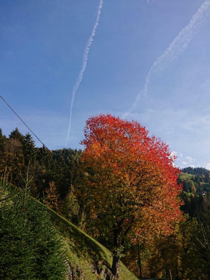 Apart Pfister Aschau Im Zillertal 외부 사진